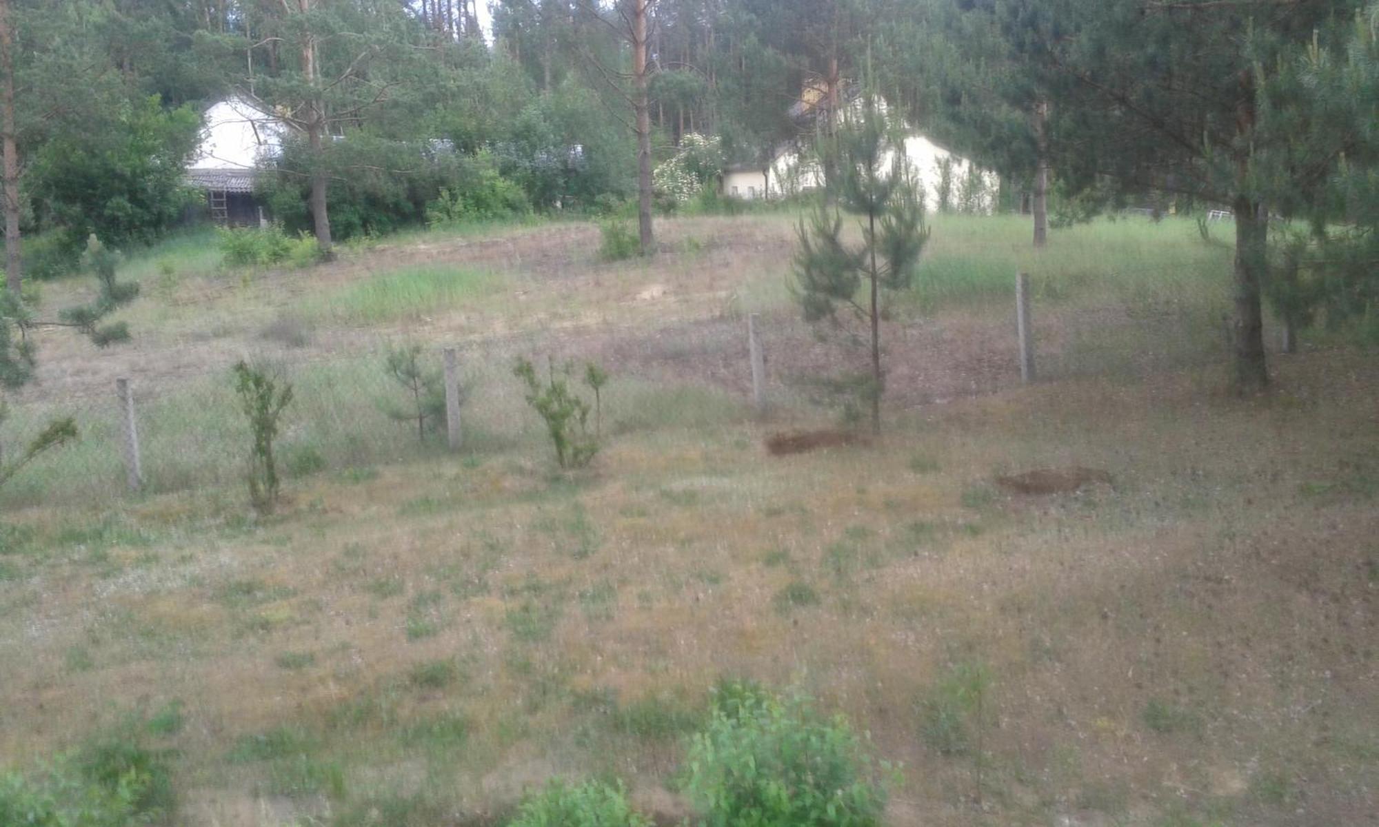 Domek Lesna Przystan Strekowizna 外观 照片